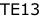 TE13